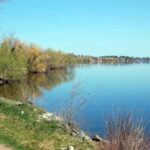 Operasi ICE di dekat Danau Bemidji berujung pada penangkapan
 | beritakitanih