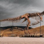 Penawar misterius membeli T. rex yang dijuluki 'Gus' dengan rekor $50 juta
 | beritakitanih