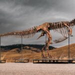 Penawar misterius membeli T. rex yang dijuluki 'Gus' dengan rekor $50 juta
 | beritakitanih